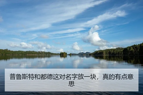 普鲁斯特和都德这对名字放一块，真的有点意思