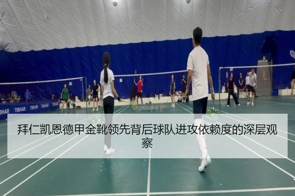 拜仁凯恩德甲金靴领先背后球队进攻依赖度的深层观察