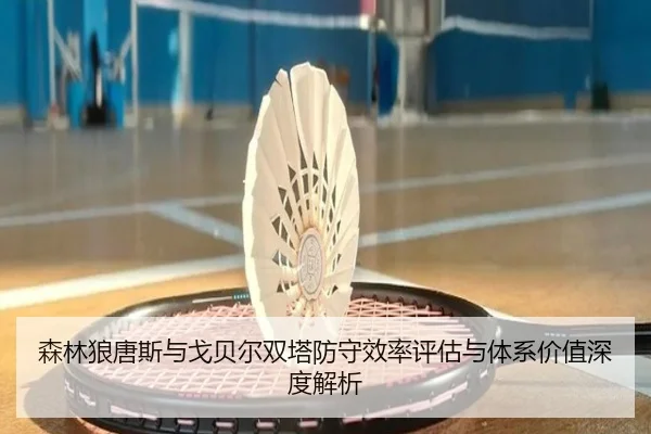 森林狼唐斯与戈贝尔双塔防守效率评估与体系价值深度解析