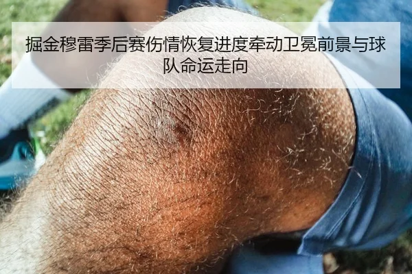 掘金穆雷季后赛伤情恢复进度牵动卫冕前景与球队命运走向